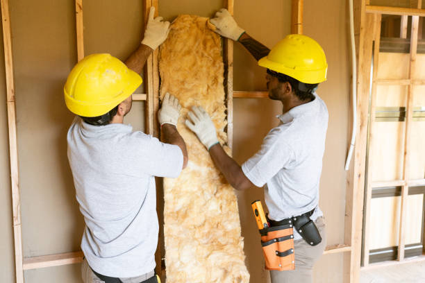 Best Attic Insulation Installation  in Camp Barrett, VA